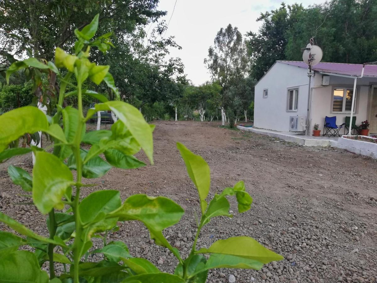 Alibaba Villa Near Airport And Beach Dalaman Exterior foto
